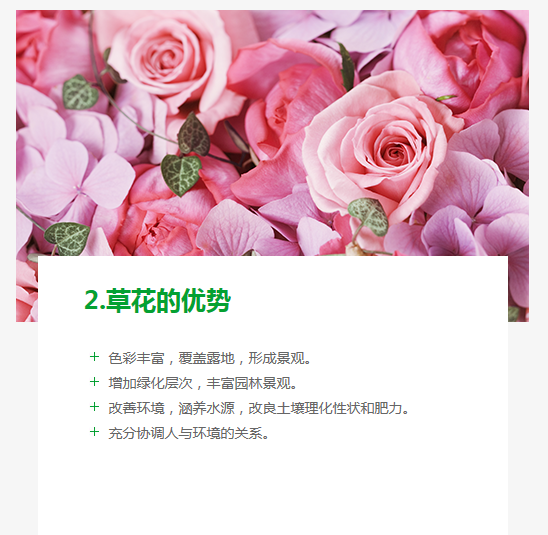 長沙東日?qǐng)@林工程有限公司,長沙園林綠化工程,長沙綠化養(yǎng)護(hù)管理