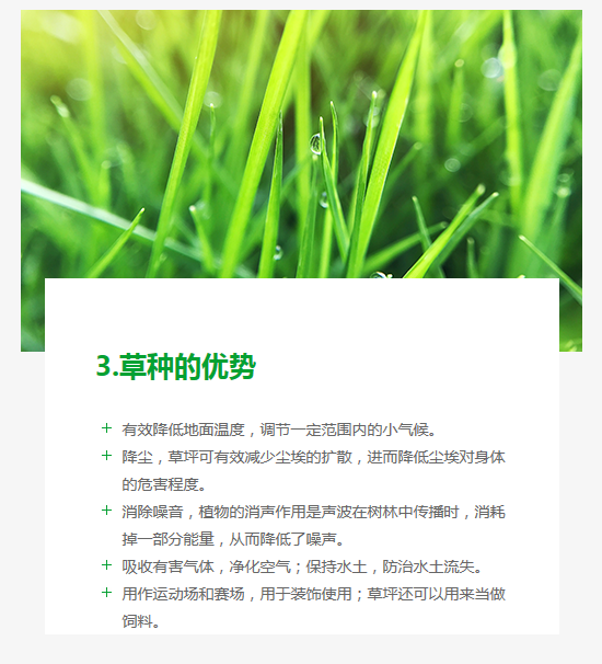 長沙東日?qǐng)@林工程有限公司,長沙園林綠化工程,長沙綠化養(yǎng)護(hù)管理