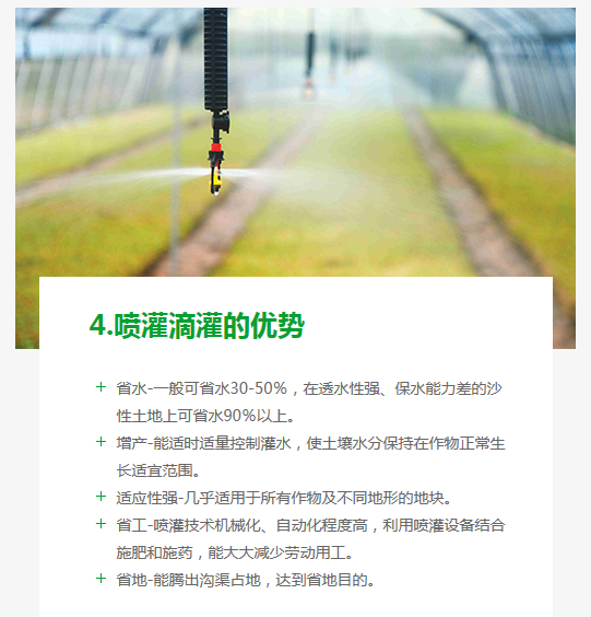 長沙東日?qǐng)@林工程有限公司,長沙園林綠化工程,長沙綠化養(yǎng)護(hù)管理